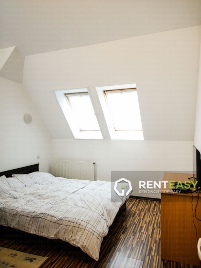 Apartament cu 2 camere de inchiriat in zona Pacurari