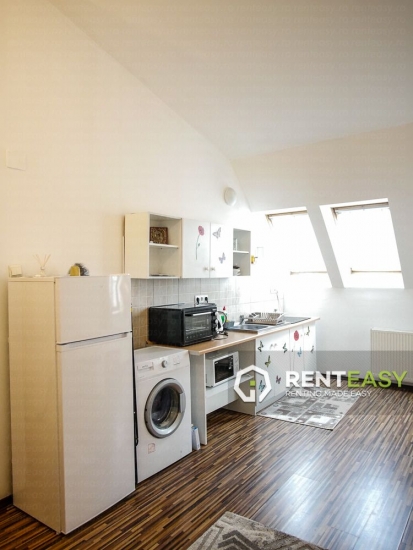 Apartament cu 2 camere de inchiriat in zona Pacurari