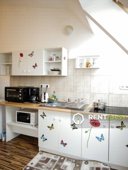 Apartament cu 2 camere de inchiriat in zona Pacurari