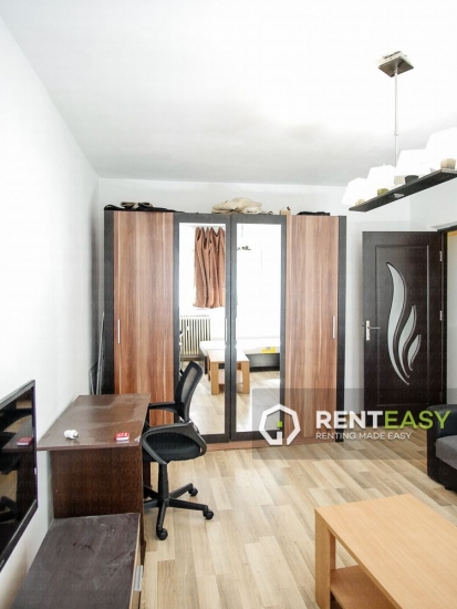 Apartament cu 1 camera de inchiriat in zona Palas Mall