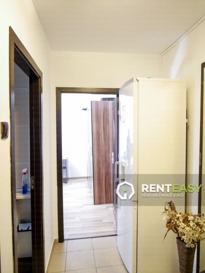 Apartament cu 1 camera de inchiriat in zona Palas Mall