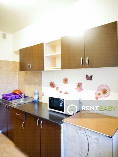 Apartament cu 3 camere de inchiriat pe Bld. Independentei 