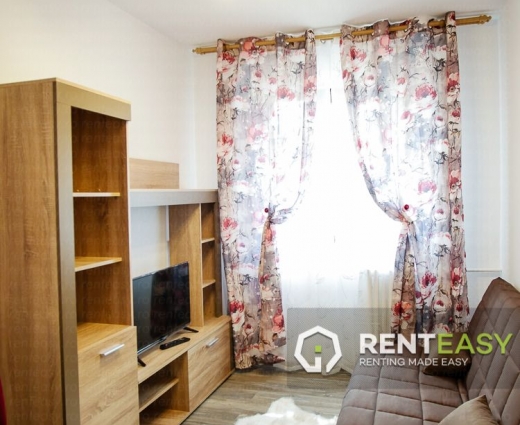 Prima Inchiriere! Apartament cu 2 camere de inchiriat in zona Podu Ros