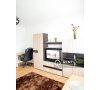 Apartament cu 2 camere de inchiriat in zona Centrala- Podul de Fier