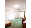 Apartament spatios cu 4 camere de inchiriat in zona Pacurari
