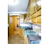 Apartament spatios cu 4 camere de inchiriat in zona Pacurari