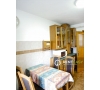 Apartament spatios cu 4 camere de inchiriat in zona Pacurari