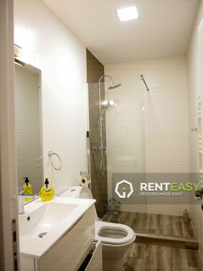 Apartament spatios cu 2 camere de inchiriat in zona Copou - Bioinginerie