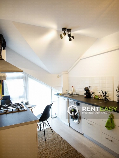 Apartament spatios cu 2 camere de inchiriat in zona Copou - Bioinginerie
