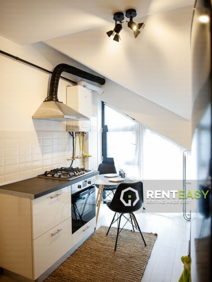 Apartament spatios cu 2 camere de inchiriat in zona Copou - Bioinginerie