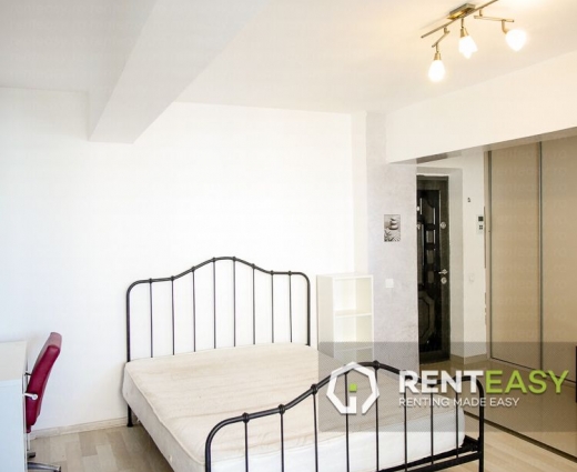 Apartament spatios cu o camera de inchiriat in zona Centrala