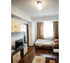 Apartament spatios cu o camera de inchiriat in zona Centrala - Stefan cel Mare