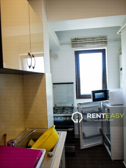 Apartament spatios cu o camera de inchiriat in zona Centrala - Stefan cel Mare