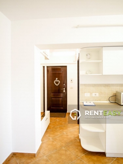 Apartament spatios cu 2 camere de inchiriat in zona Tudor Vladimirescu