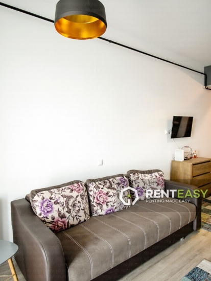 Apartament spatios cu o camera de inchiriat in zona Centrala - Palas