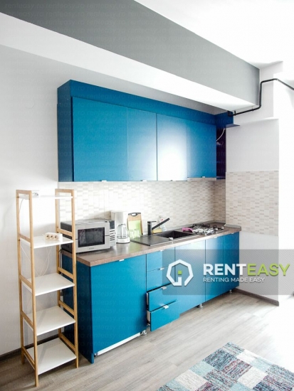 Apartament spatios cu o camera de inchiriat in zona Centrala - Palas