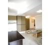 Apartament spatios cu o camera de inchiriat in zona Bucsinescu