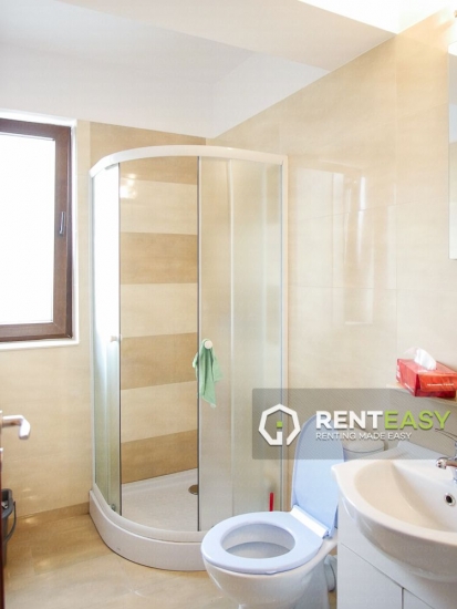 Apartament spatios cu o camera de inchiriat in zona Bucsinescu