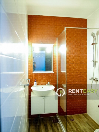 Apartament spatios cu o camera de inchiriat in zona Centru - Stefan cel Mare