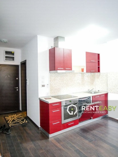 Apartament spatios cu o camera de inchiriat in zona Centru - Stefan cel Mare