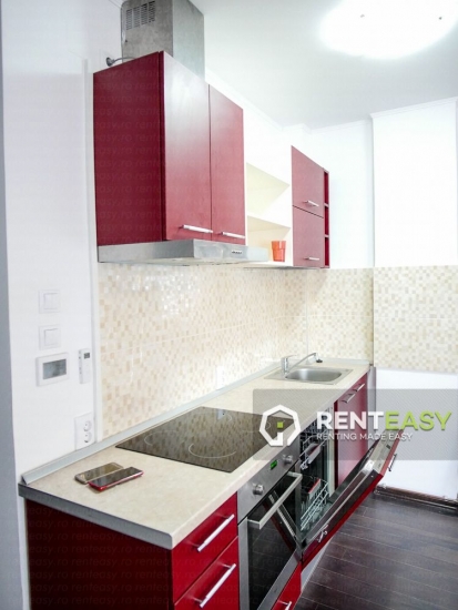 Apartament spatios cu o camera de inchiriat in zona Centru - Stefan cel Mare