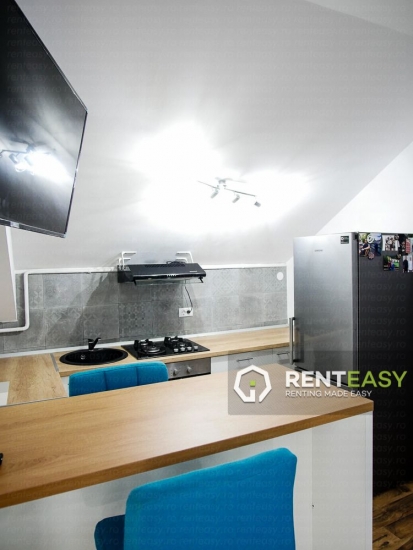 Apartament cu 2 camere de inchiriat in zona Centrala - Bioinginerie