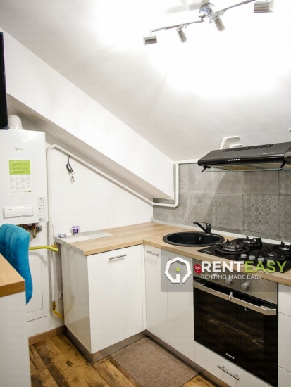 Apartament cu 2 camere de inchiriat in zona Centrala - Bioinginerie