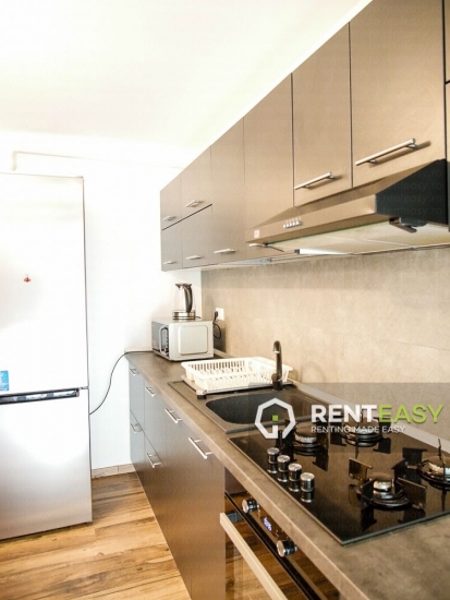 Apartament spatios cu 2 camere de inchiriat in zona Centrala - Bioinginerie