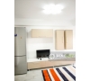 Apartament spatios cu o camera de inchiriat in zona Bucsinescu