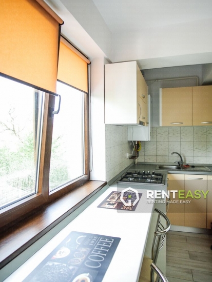 Apartament spatios cu o camera de inchiriat in zona Bucsinescu