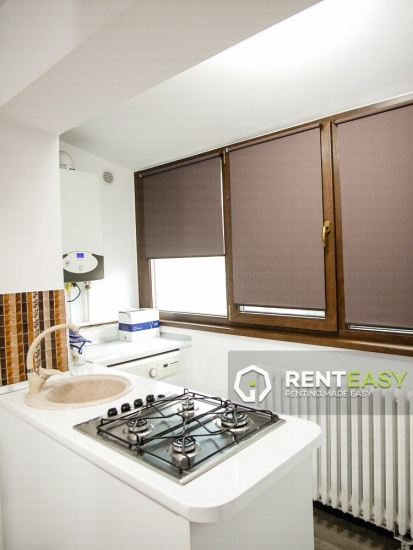 Apartament cu o camera si terasa de inchiriat in zona Centrala
