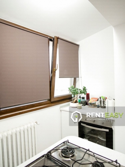 Apartament cu o camera si terasa de inchiriat in zona Centrala