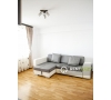 Apartament cu 2 camere de inchiriat in Bloc Nou situat in Copou