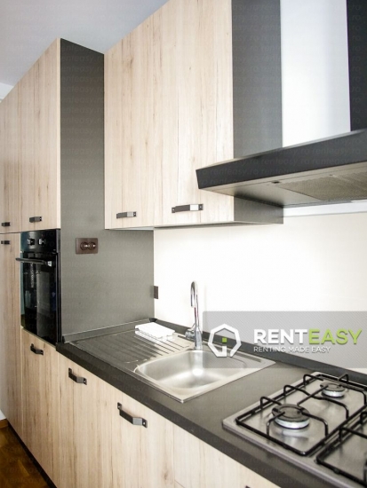 Apartament cu 2 camere de inchiriat in Bloc Nou situat in Copou