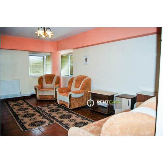 Apartament spatios cu o camera de inchiriat situat in zona Centrala - Stefan cel Mare