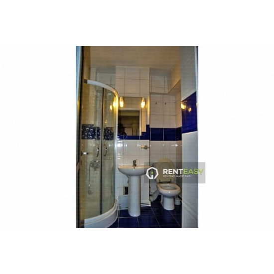 Apartament spatios cu o camera de inchiriat situat in zona Centrala - Stefan cel Mare