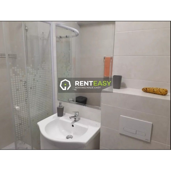 Apartament cu 2 camere de inchiriat in zona Pacurari - Petru Poni