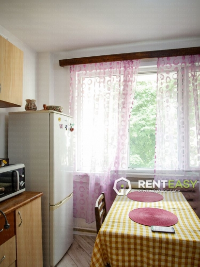 Apartament cu 2 camere de inchiriat situat in zona Centru - Piata Unirii