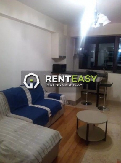 Apartament cu o camera de inchiriat situat zona Copou
