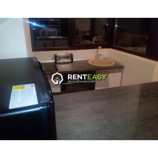 Apartament cu o camera de inchiriat situat zona Copou
