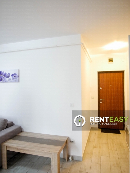 Apartament cu o camera de inchiriat in zona Bucsinescu