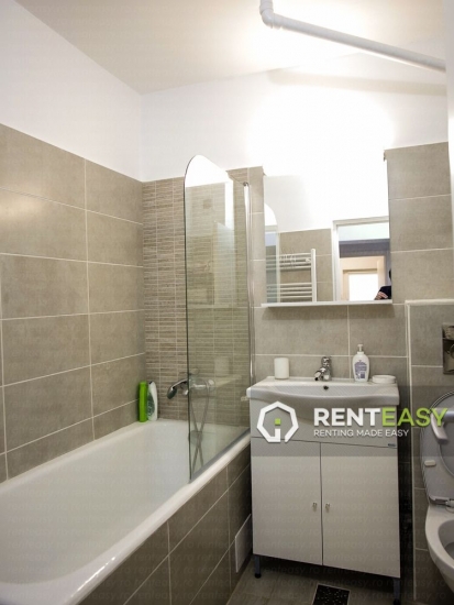 Apartament cu o camera de inchiriat in zona Independentei