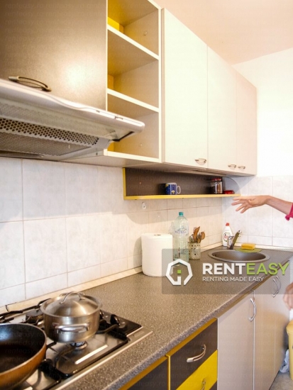 Apartament cu o camera de inchiriat in zona Hala Centrala