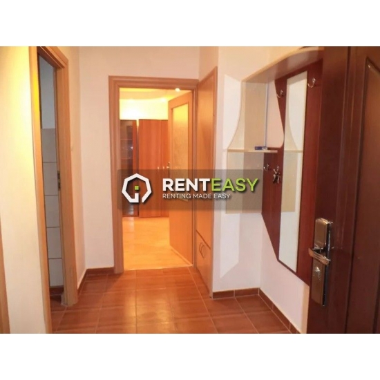 Apartament spatios cu o camera de inchiriat in zona Garii