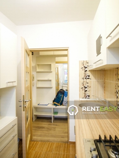 Apartament cu 2 camere de inchiriat situat in zona Centrala - Cuza Voda