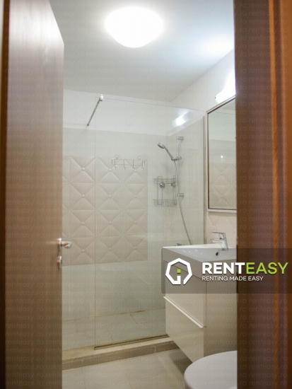 Apartament cu o camera de inchiriat situat in zona Tatarasi