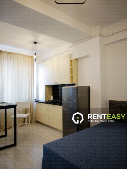 Apartament cu o camera de inchiriat situat in zona Tatarasi