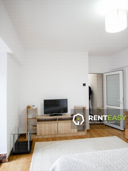 Apartament cu o camera situat in zona Hala Centrala