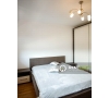 Apartament cu 3 camere de inchiriat in Bloc Nou -Podul de Fier