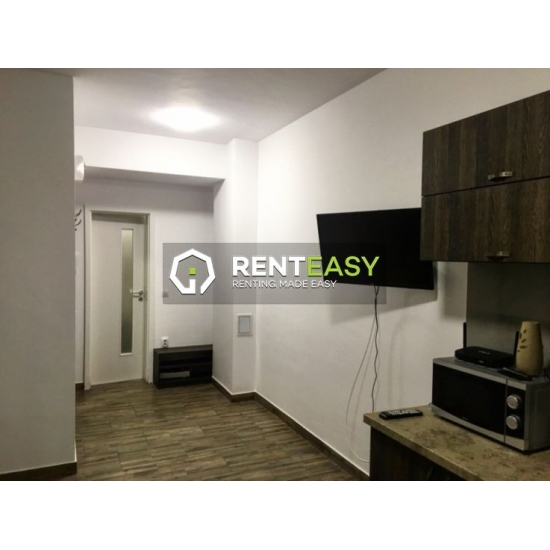 De inchiriat ! Apartament cu o camera in bloc nou situat in zona Palas